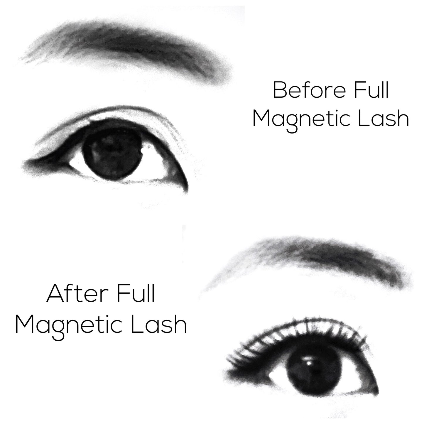 3D2 Magnetic Lash